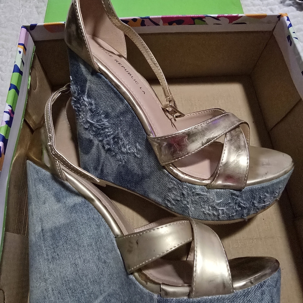 Shoe  republic LA  wedge